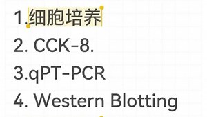 我愿称之为医学基础实验protocol最伟大的详解