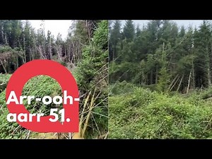 Man discovers what he believes to be a UFO "crash site" | SWNS