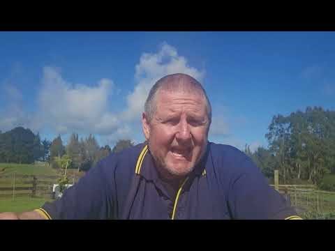 CIDR ewe trial. Can I mate seasonal ewes in September to get lambs in February? Planning Part 1