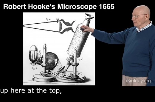 显微镜系列课程-讲座-1.2-早期显微镜的历史-有字幕