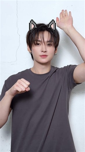 😼✊✊ #StrayKids #스트레이키즈 #리노 #LeeKnow #YouMakeStrayKidsStay
