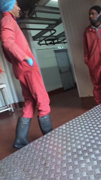 Exploring Wrexham's Historic Slaughterhouse