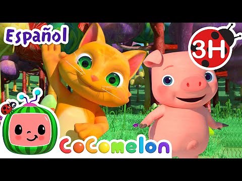 El baile animal | CoComelon y los animales 🍉| Dibujos para niños