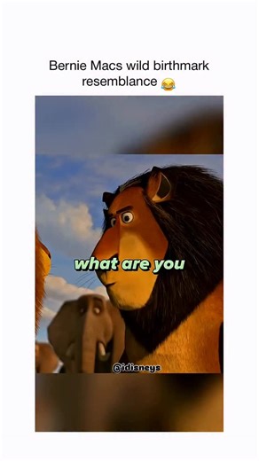 disney | movies | memes on Instagram: "In the video, Alex the Lion from the movie Madagascar: Escape 2 Africa is reunited with his parents, Zuba and Florrie, in the African wild. The key moment occurs when Zuba notices a unique birthmark on Alex's right paw—a small, dark patch shaped like Africa. This mark confirms Alex's identity as their long-lost son, Alakay. The Bernie Mac Connection The caption in your video mentions a "Bernie Mac birthmark resemblance." This is a nod to the late comedian B