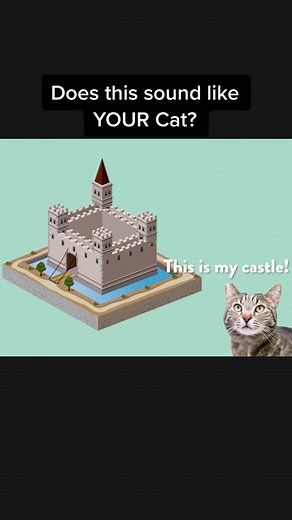 Dealing with a Bully Cat: Understanding and Addressing Feline Behavior