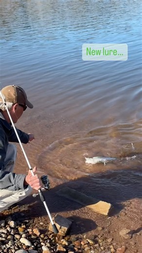 The new Berkley Finisher may have been designed specifically for using in boats with forward facing sonar but over the last month I have caught a ton of fish from the bank with it. You can throw it a mile, work it lots of ways, and it is highly reactive For enticing strikes. Fun new bait to fish! #newlures #newstuff #fishingtackle #bankfishing #ffs #troutfishing #walleyefishing #bassfishing #sportsmanswarehouse #berkleyfishing | Fishful Thinker