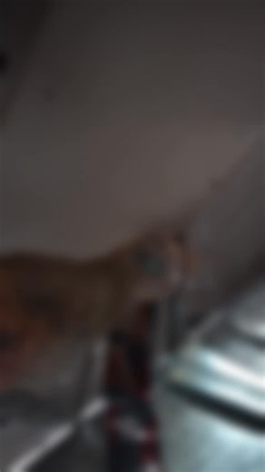 🏡 South Jersey’s trusted family HVAC & plumbing team — since 2001. From heating and cooling to plumbing and water lines, D’Auria & Son delivers reliable, honest, and affordable service backed by our 100% Satisfaction Guarantee and up-front pricing every time. ✨ Family-owned • Fully licensed & insured ✨ 24/7 emergency service ✨ Serving Gloucester, Camden, Burlington, Salem & Cape May Counties When your home needs care, don’t call a stranger — call D’Auria. 📞 (856) 257-1092 #SouthJerseyHVAC #NJP