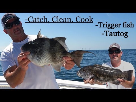 2 Days of Toggin' | Triggerfish | Kitchen Time