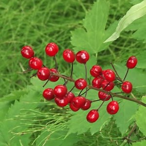 36 reactions · 3 comments | This week we will be exploring how birds...