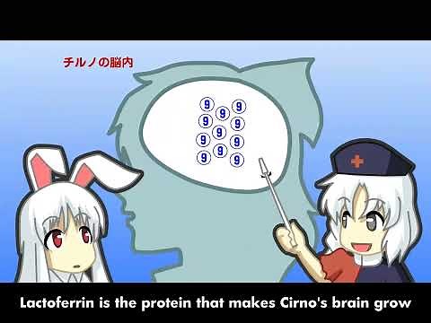 Touhou - Chirumiru Cirno - English sub (1080p - 60fps)