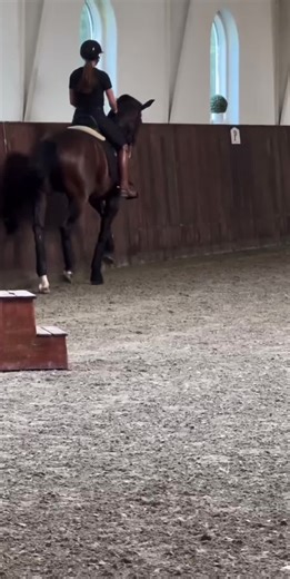 Cathrine and freestyle 😍#fyp #viral #cathrinedufour #mountstjohnfreestyle #dressage