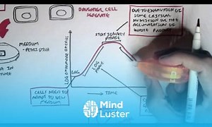Mind Luster - Learn Microbiology Bacteria Growth Reproduction Classification
