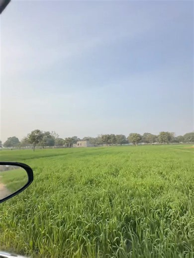 #trendingvideo_viral_video #growmyaccount #unfrezzmyaccount #foryoupage #growmyaccount