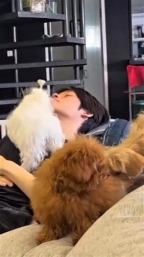 PRINCE GHOST9 on Instagram: "yes they r well taken care of.. i think"