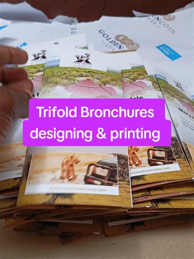 Logo and Brochure Design Services for Small Businesses