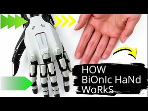 Bionic Hands Explained: The Mind-Blowing Future of Prosthetics! 🦾#facts .