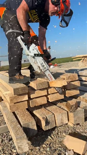 286K views · 2.3K reactions | Stacking fresh cut ash lumber to dry by trimming the stickers and boards to length with the STIHL MSA 300 chainsaw and then painting the ends. Now I wait a few years  | The Dusty Lumber Co. | Facebook