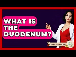 What Is The Duodenum? - Your Nutrition Network