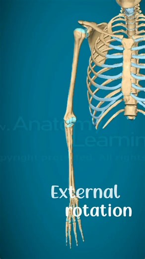 Internal and external rotation of shoulder joint#physiorehab#drsamia