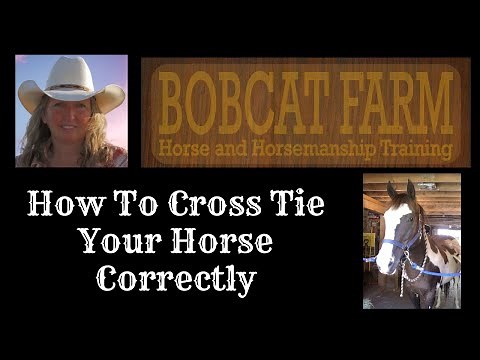 How To Cross Tie Your Horse Correctly