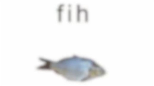 🐟