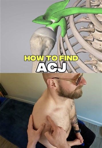 Locate the AC Joint: A Simple Shoulder Anatomy Guide