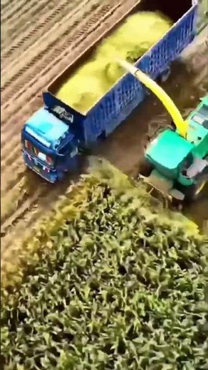 Massive farming coordinated teamwork