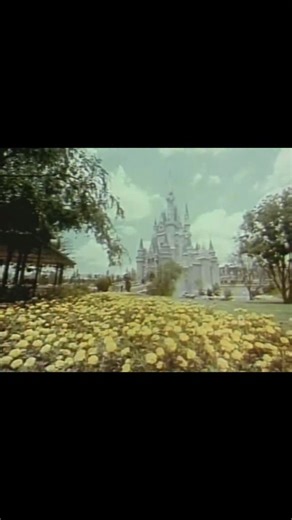 2.9K views · 448 reactions |  A look back at Cinderella Castle in the 1970s. ✨ | Days Gone Disney | Facebook