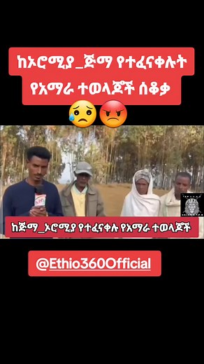 #ቤተመንግሥቱንያዝ #occupythepalace #AmharaFanoPeople #የአማራፋኖህዝባዊድርጅት #AmharaFanoPeople 'sOrganization#RT #France24 #NYT #CNC #Aljazeera #BBC #አማራቲክቶክ #eritreatiktok #somaliatiktok #kenyatiktok #usa🇺🇸 #usa_tiktok #china #chinatiktok #Japan #Canada #candatiktok #trendy #Trendingvideo #Viral #viralvideo #amharafano #አማራፋኖ❤🇪🇹 #ኢትዮጵያ_ለዘለዓለም_ትኑር🇪🇹🇪🇹🇪🇹 #ኢትዮጵያ_ለዘለዓለም_ትኑር🇪🇹🇪🇹 #Ethiopia #ethiopian_tik_tok #ethiopian_tik_tok🇪🇹🇪🇹🇪🇹🇪🇹 #Fano #ፋኖ_ኩራታችን #ፋኖ_መከታችን #አንድአማራ #አንድኢትዮጵያ💚💛❤️💚💛❤️🙏�