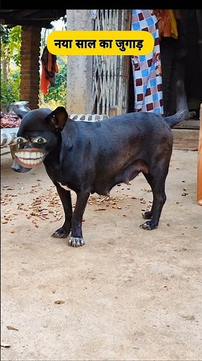 नया साल का जुगाड #comedy #funny #thetharpuns #shilpisaroja