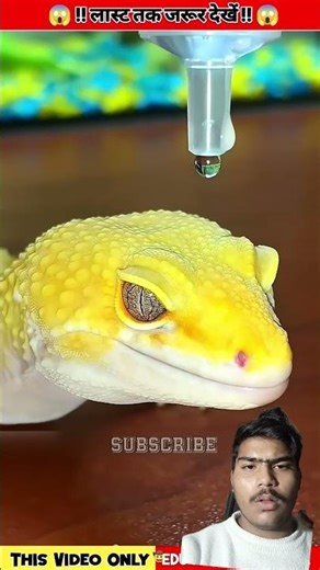 #samayranarula #nirala_manju #kumarsir #shortsfeed #trendingshorts