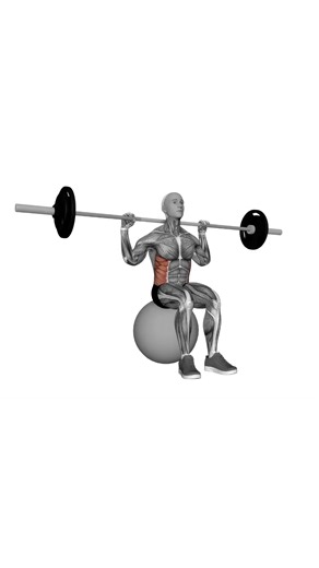 barbell seated twist on exercise ball.mp4
