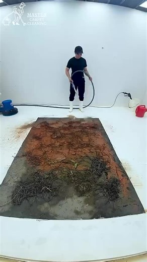 Master Carpet Cleaning (@mastercarpetcleaning4)’s videos with original sound - Master Carpet Cleaning