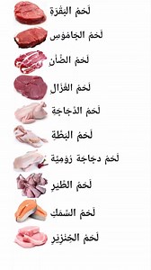 190K views · 4.1K reactions | Arabic to English translated #education #learn #arabic #islamic #translation | Learn Arabic with English | Facebook