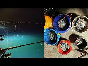 Puget sound squid fishing 11052021 | Squid Fishing at Edmonds fishing pier | Squid Jigging at night
