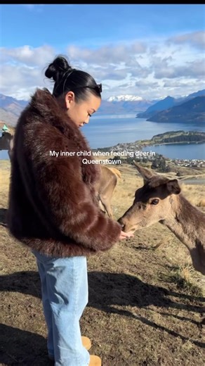 Feeding Deer in Queenstown: A Joyful Experience