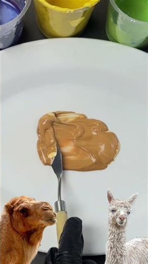 Camel vs Llama…Color Battle #colormixing #colormixingmagic #odlysatisfying #satisfying