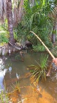 I never imagined it would be this easy to catch a fish #fishing #fishing #fish #fisherman #fishing