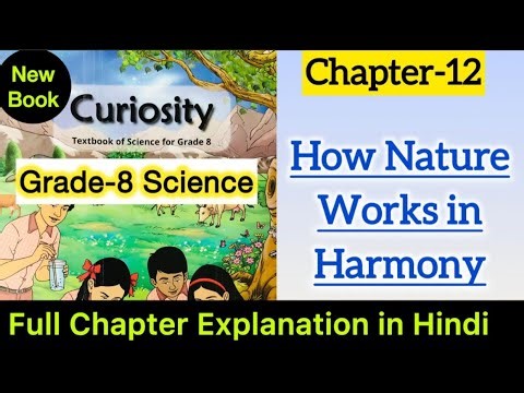 Class 8 Science | Chapter 12 Explanation | How Nature Works in Harmony | One Shot | Curiosity NCERT