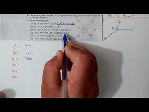 Q.9 Ex.5.1 Chapter:5 Lines and Angles | Ncert Maths Class 7 | Cbse.
