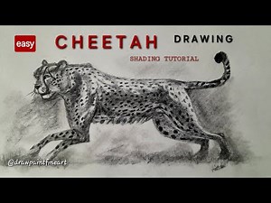 Quick Cheetah Drawing Tutorial 🐆 | Shading Drawing
