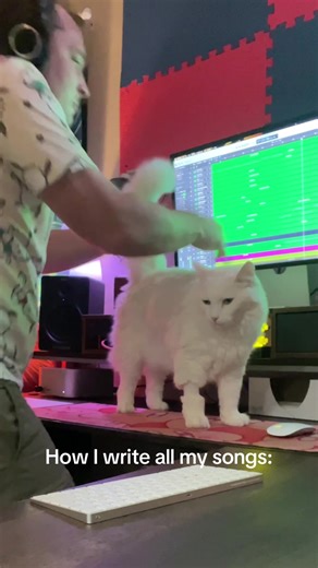 Mr. Meowse Supports New Random Encounters REwind