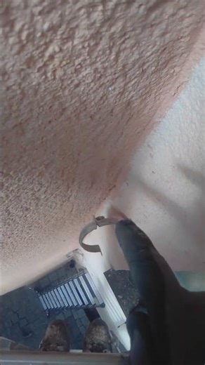 1 downpipe adaptor VID 20250905 133106