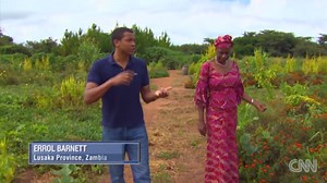 Zambia embraces organic farming