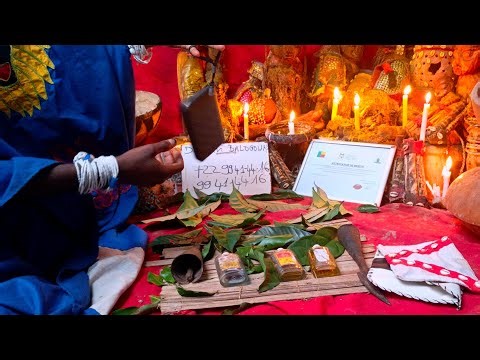 Wealth Code: Magic Money Multiplier Wallet