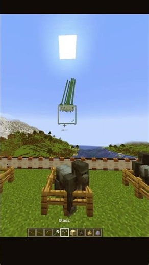 Minecraft Gorilla experiment #minecraft #ad_gaming_94