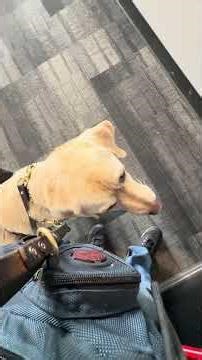 Machine Room: Otis Hydraulic Elevator @ Advocate Good Samaritan Outpatient Center, Downers Grove, IL