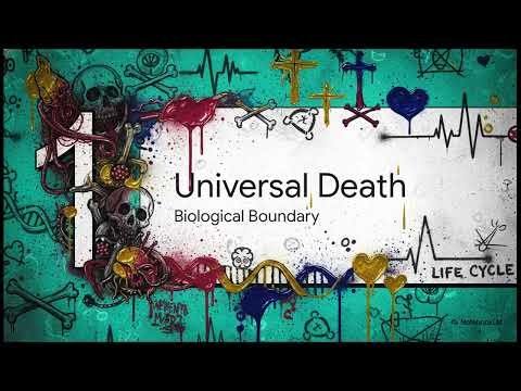Religion and Death | World Religions