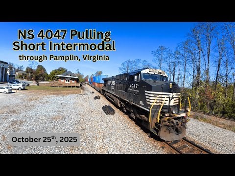 NS 4047 pulling Loaded Container Train Passing Through