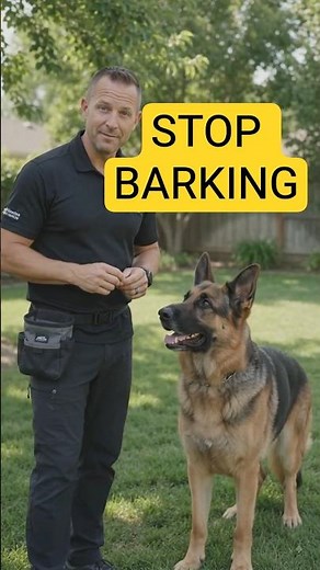 Stop GSD Barking FAST! (Easy Method)